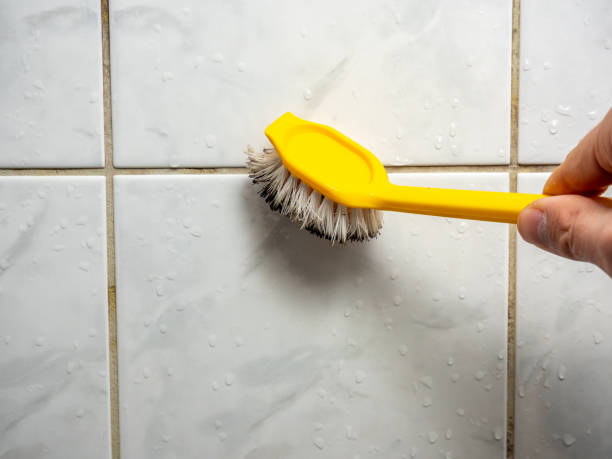 Best Localized Mold Remediation (e.g., coastal areas, humid climates) in River Grove, IL