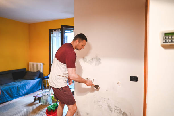 Best Attic Mold Remediation in River Grove, IL